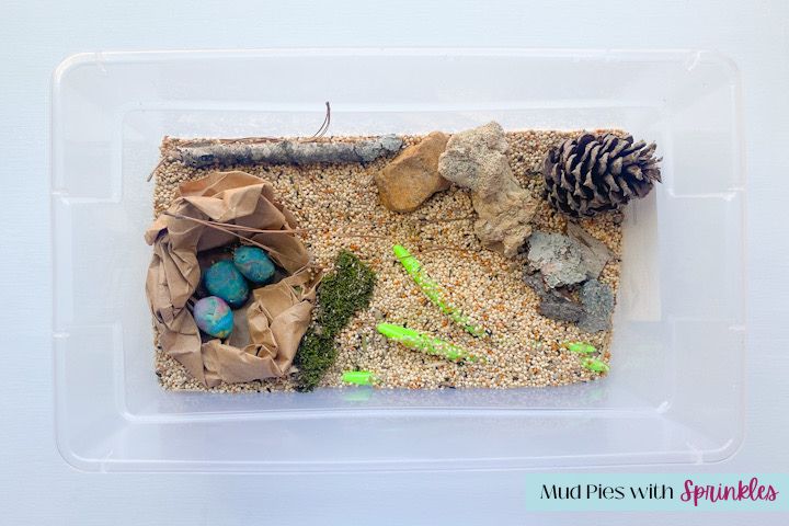 plastic bin filled with birdseed, pine cone, rocks, stick, pine needles, paper sack shaped into bird's nest, blue play-doh shaped eggs and green plastic worms